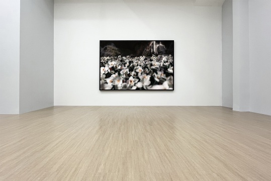 尹航个展,“滑行在滩涂之上” 新氧艺展览现场 尹航个展,“滑行在滩涂之上” 新氧艺展览现场