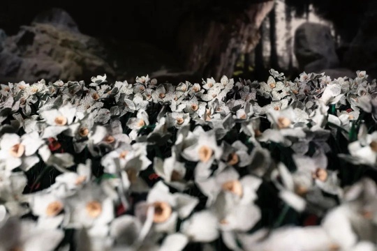 《下沉》 收藏级摄影微喷、哈内姆勒纯棉硫化钡相纸 160x240cm 2022 《下沉》 收藏级摄影微喷、哈内姆勒纯棉硫化钡相纸 160x240cm 2022