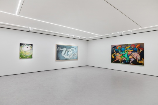 “越过栅栏，如鸟儿飞过”，潇当代美术馆展览现场
