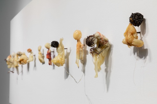 “越过栅栏，如鸟儿飞过”，潇当代美术馆展览现场
