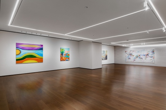 “越过栅栏，如鸟儿飞过”，潇当代美术馆展览现场
