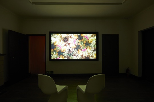 比阿特丽斯·吉布森,F for Fibonacci,单频影像(彩色,有声),16分钟,2014。“我想象天使”展览现场,花厅计划,2022,上海市徐汇区复兴西路62号修道院公寓二层。摄影:叶枫荻。图片由艺术家及花厅计划提供 比阿特丽斯·吉布森,F for Fibonacci,单频影像(彩色,有声),16分钟,2014。“我想象天使”展览现场,花厅计划,2022,上海市徐汇区复兴西路62号修道院公寓二层。摄影:叶枫荻。图片由艺术家及花厅计划提供