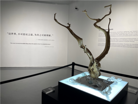 展览现场(作品《太虚》)
展览现场(作品《太虚》)