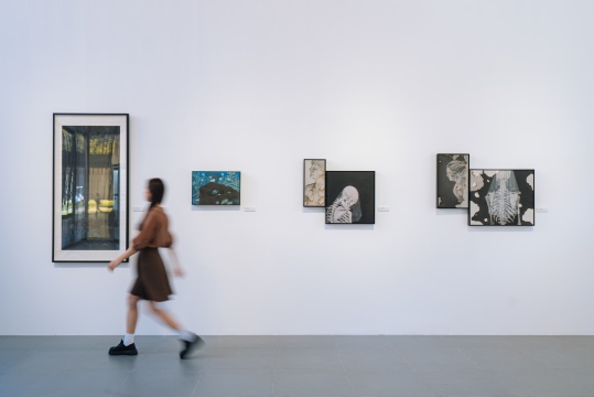 香港中文大学主题群展“水墨更开新象”,中国当代水墨艺术的一次对话 香港中文大学主题群展“水墨更开新象”,中国当代水墨艺术的一次对话