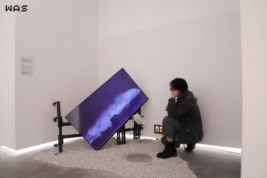 图五来源:展览现场,艺术小组MiM1MewMew作品,由WAS艺术中心提供
图五来源:展览现场,艺术小组MiM1MewMew作品,由WAS艺术中心提供