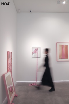 图八来源:展览现场,艺术家黄乖儿作品,由WAS艺术中心提供
图八来源:展览现场,艺术家黄乖儿作品,由WAS艺术中心提供