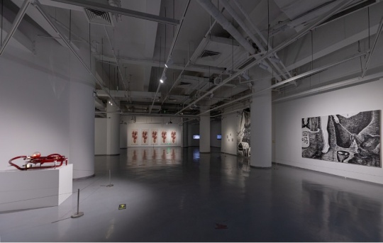 “中国当代艺术新学院方式” ，北京电影学院新媒体艺术实验室特展正式开幕