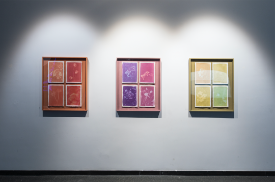 胡为一 《道别》90 x 75cm x 3花汁印相法、树胶重铬盐酸工艺、花汁、阿拉伯树胶、水彩纸 2020
胡为一 《道别》90 x 75cm x 3花汁印相法、树胶重铬盐酸工艺、花汁、阿拉伯树胶、水彩纸 2020