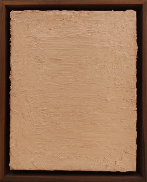 《温莎牛顿的肉色》30X24cm 布面油画 2020
