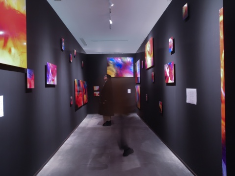 余若婕作品展览现场，由WAS艺术中心提供
