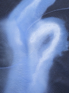 茎节(局部)
2021
黑色 Aquacryl 颜料、色粉、铅笔、铝板
190 x 190 x 5 cm
© 施拉泽·赫什阿里,图片由里森画廊提供
茎节(局部)
2021
黑色 Aquacryl 颜料、色粉、铅笔、铝板
190 x 190 x 5 cm
© 施拉泽·赫什阿里,图片由里森画廊提供