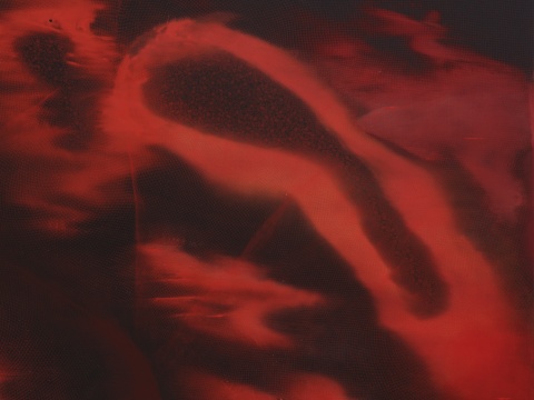 合子(局部)
2022
黑色 Aquacryl 颜料、色粉、铅笔、铝板
190 x 400 x 5 cm
© 施拉泽·赫什阿里,图片由里森画廊提供
合子(局部)
2022
黑色 Aquacryl 颜料、色粉、铅笔、铝板
190 x 400 x 5 cm
© 施拉泽·赫什阿里,图片由里森画廊提供