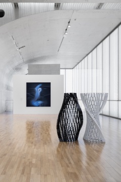 “施拉泽·赫什阿里:根茎”现场图,龙美术馆(西岸馆),展期:2023.3.5-5.7 © 施拉泽·赫什阿里,摄影:shaunley
Installation view of “施拉泽·赫什阿里:根茎”现场图,龙美术馆(西岸馆),展期:2023.3.5-5.7 © 施拉泽·赫什阿里,摄影:shaunley
Installation view of