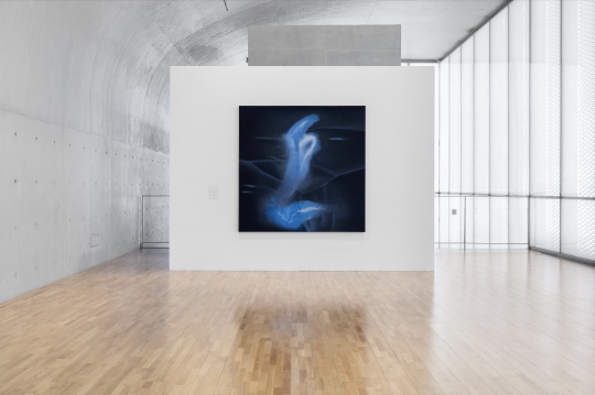 “施拉泽·赫什阿里:根茎”现场图,龙美术馆(西岸馆),展期:2023.3.5-5.7 © 施拉泽·赫什阿里,摄影:shaunley
Installation view of “施拉泽·赫什阿里:根茎”现场图,龙美术馆(西岸馆),展期:2023.3.5-5.7 © 施拉泽·赫什阿里,摄影:shaunley
Installation view of