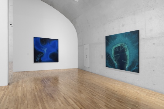 “施拉泽·赫什阿里:根茎”现场图,龙美术馆(西岸馆),展期:2023.3.5-5.7 © 施拉泽·赫什阿里,摄影:shaunley
Installation view of “施拉泽·赫什阿里:根茎”现场图,龙美术馆(西岸馆),展期:2023.3.5-5.7 © 施拉泽·赫什阿里,摄影:shaunley
Installation view of