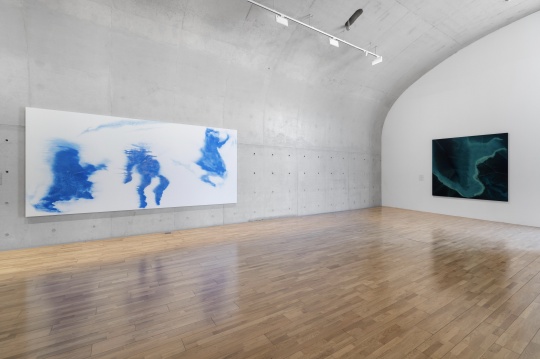 “施拉泽·赫什阿里:根茎”现场图,龙美术馆(西岸馆),展期:2023.3.5-5.7 © 施拉泽·赫什阿里,摄影:shaunley
Installation view of “施拉泽·赫什阿里:根茎”现场图,龙美术馆(西岸馆),展期:2023.3.5-5.7 © 施拉泽·赫什阿里,摄影:shaunley
Installation view of