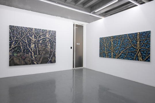 瀚艺术空间开年首展,李满金“一切只是独白” 瀚艺术空间开年首展,李满金“一切只是独白”