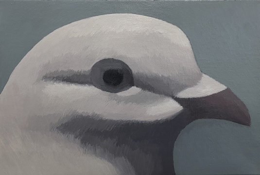 鸟 布面丙烯 20X30cm 2023年的副本
鸟 布面丙烯 20X30cm 2023年的副本