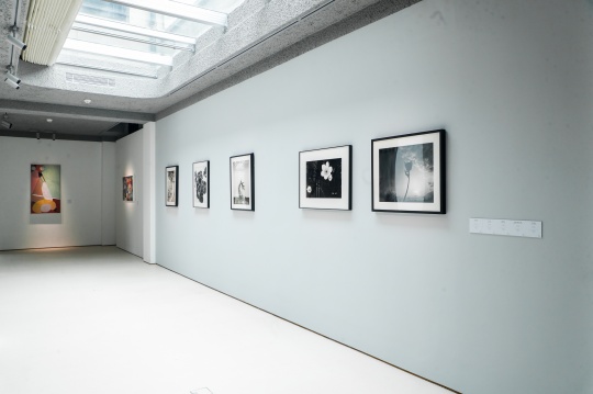 Uart SPACE,采艺术空间首展《羽化》正式开幕 Uart SPACE,采艺术空间首展《羽化》正式开幕