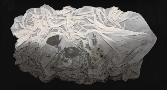 宋岫音 《折脂No.3虞美人》绢本设色 63×113cm 2021
宋岫音 《折脂No.3虞美人》绢本设色 63×113cm 2021