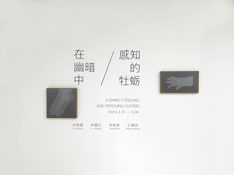 “在幽暗中感知的牡蛎”展览现场，新氧艺O2art顺义OOPS项目空间
