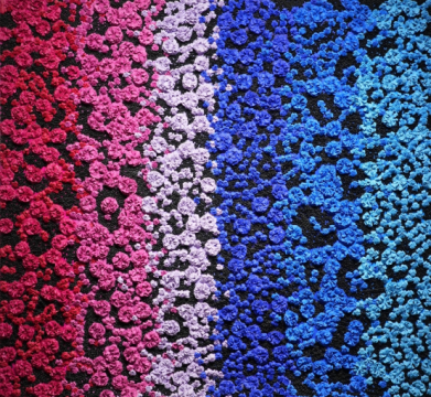 太平NO.1综合材料140x150cm
太平NO.1综合材料140x150cm