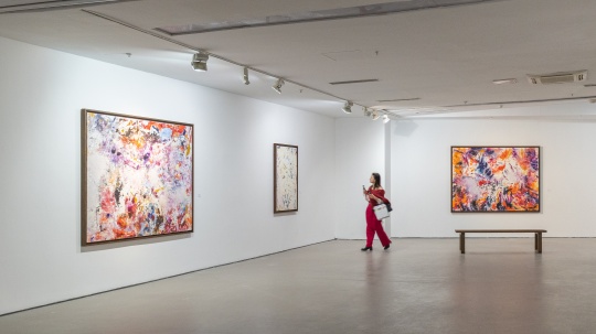 玛莉·德维尔潘是谁?来今日美术馆看看她首次中国个展 玛莉·德维尔潘是谁?来今日美术馆看看她首次中国个展
