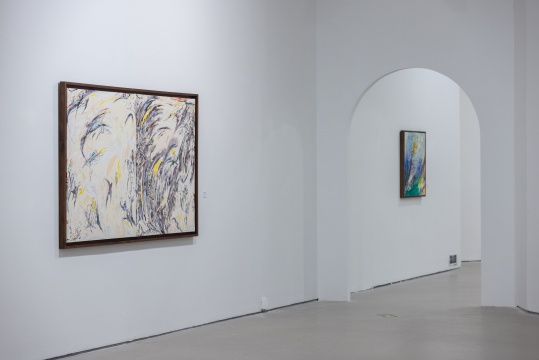 玛莉·德维尔潘是谁?来今日美术馆看看她首次中国个展 玛莉·德维尔潘是谁?来今日美术馆看看她首次中国个展