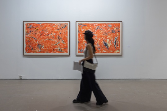 玛莉·德维尔潘是谁?来今日美术馆看看她首次中国个展 玛莉·德维尔潘是谁?来今日美术馆看看她首次中国个展