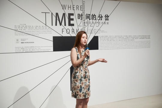 展览总监黄晓琼作开幕发言 展览总监黄晓琼作开幕发言