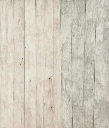 

胡晓媛《木罅&nbsp;XI 》
200×170cm&nbsp;水墨漆&nbsp;绡&nbsp;铁钉松木&nbsp;2018

估价：40万-80万港元

2023佳士得香港春拍千禧后晚间拍卖

