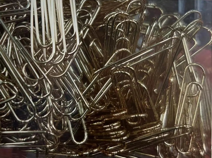 黄嘉宁《回纹针》

173×230cm 油彩 画布 2023

42万元，已售

大未来林舍画廊
