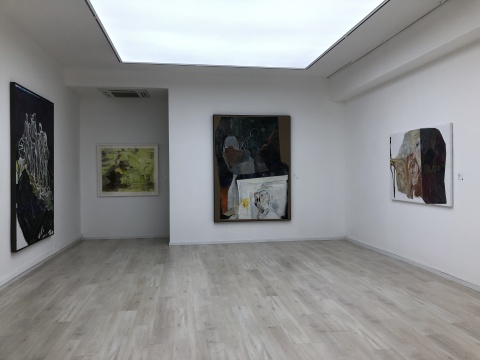 六禾空间在北京正式开幕,首展推出吴维佳近作《藏山青》 六禾空间在北京正式开幕,首展推出吴维佳近作《藏山青》
