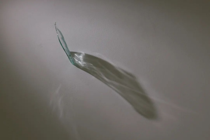 
尹秀珍《天意》玻璃、蚊子  2021-2023
上海玻璃博物馆个展“涟漪应力”展览现场
