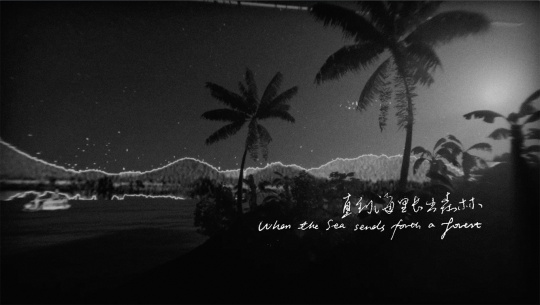 刘广隶 《直到海里长出森林》 实验纪录片 21’10” 2020
刘广隶 《直到海里长出森林》 实验纪录片 21’10” 2020