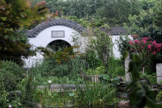 留云草堂院子西边景 留云草堂院子西边景