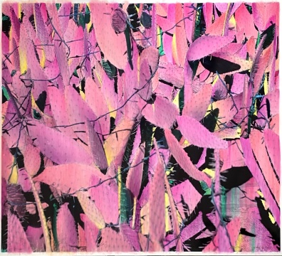 史国威《Pink》150×164cm 摄影绘画 2023
