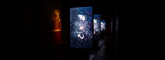 pink;money《EuismodomsiuE》

&nbsp;
