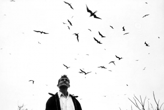 ©格雷西拉·伊图尔比德，翼间之主，纳亚里特，墨西哥，1984年

©Graciela Iturbide, El señor de los pájaros, Nayarit, México, 1984
