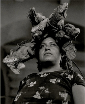  

©格雷西拉·伊图尔比德，鬣蜥圣母，胡奇坦，墨西哥，1979年

©Graciela Iturbide, Nuestra Señora de las Iguanas, Juchitán, México, 1979
