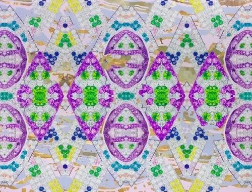《Cladopteris》350×458cm
布面油画 2014-2019
《Cladopteris》350×458cm
布面油画 2014-2019