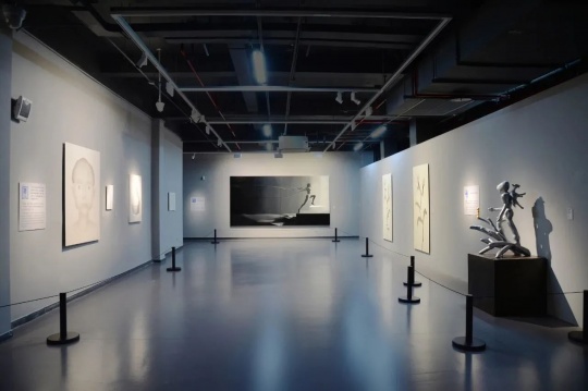 “拟象” 正在湖州市美术馆展出 “拟象” 正在湖州市美术馆展出