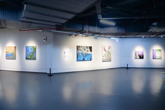 “拟象” 正在湖州市美术馆展出 “拟象” 正在湖州市美术馆展出