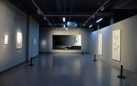 “拟象” 正在湖州市美术馆展出 “拟象” 正在湖州市美术馆展出