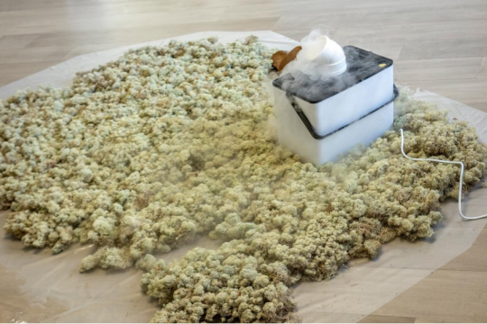 见地·生态艺术驻地展《天堂是一片森林》在之谷空间开幕 见地·生态艺术驻地展《天堂是一片森林》在之谷空间开幕