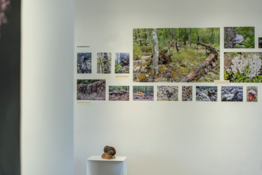 见地·生态艺术驻地展《天堂是一片森林》在之谷空间开幕 见地·生态艺术驻地展《天堂是一片森林》在之谷空间开幕