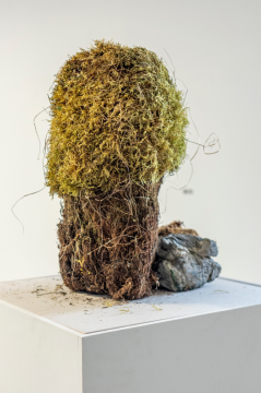 见地·生态艺术驻地展《天堂是一片森林》在之谷空间开幕 见地·生态艺术驻地展《天堂是一片森林》在之谷空间开幕