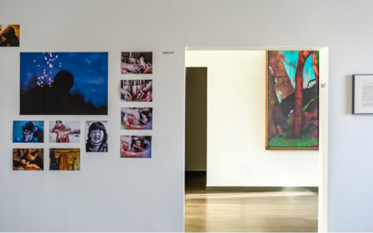 见地·生态艺术驻地展《天堂是一片森林》在之谷空间开幕 见地·生态艺术驻地展《天堂是一片森林》在之谷空间开幕