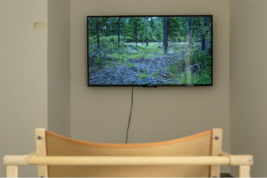 见地·生态艺术驻地展《天堂是一片森林》在之谷空间开幕 见地·生态艺术驻地展《天堂是一片森林》在之谷空间开幕