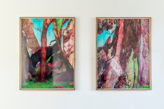 见地·生态艺术驻地展《天堂是一片森林》在之谷空间开幕 见地·生态艺术驻地展《天堂是一片森林》在之谷空间开幕